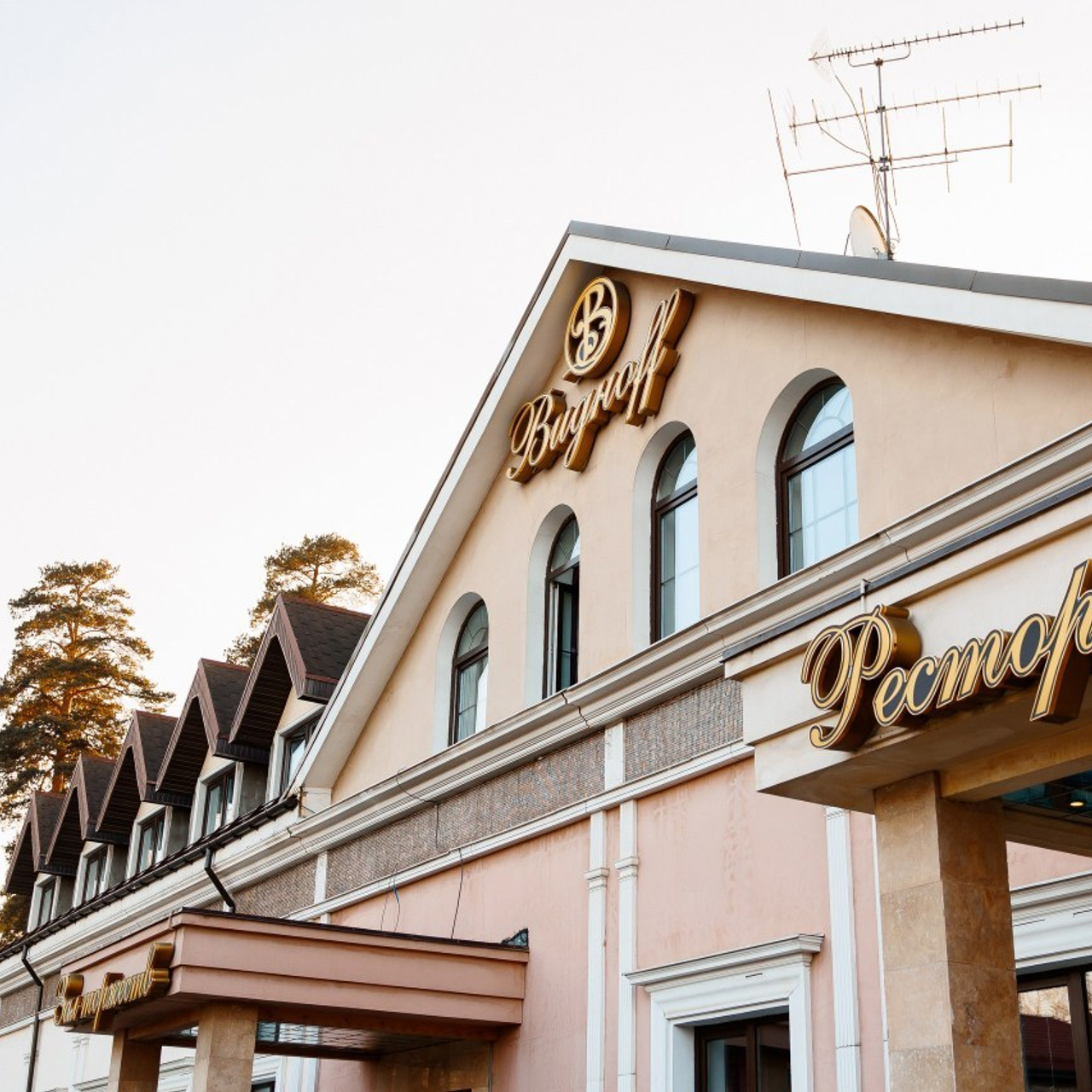 Отзывы о фотографе Иване Чионове. Свадебный и портретный фотограф Раменское Москва Иван Чионов