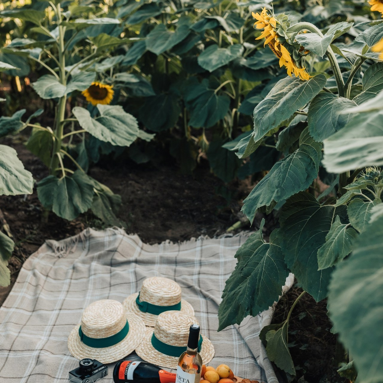 Отзывы. Фотограф в Дзержинске Наташа Баева