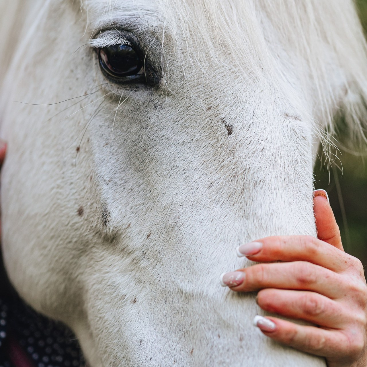 Отзывы. Семейный фотограф в Ростове-на-Дону Дубровина Ксения