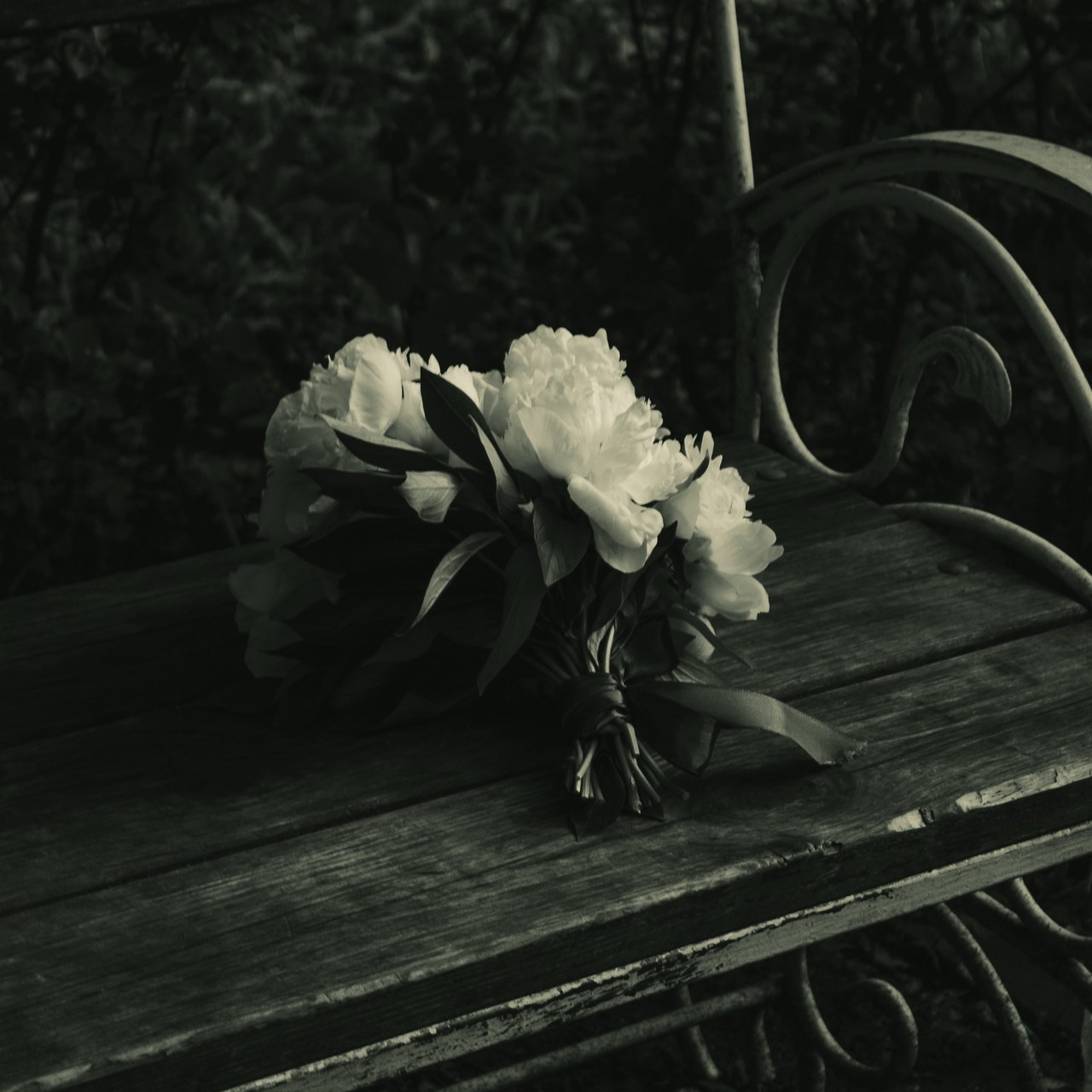 ОТЗЫВЫ. Фотограф | Губкин