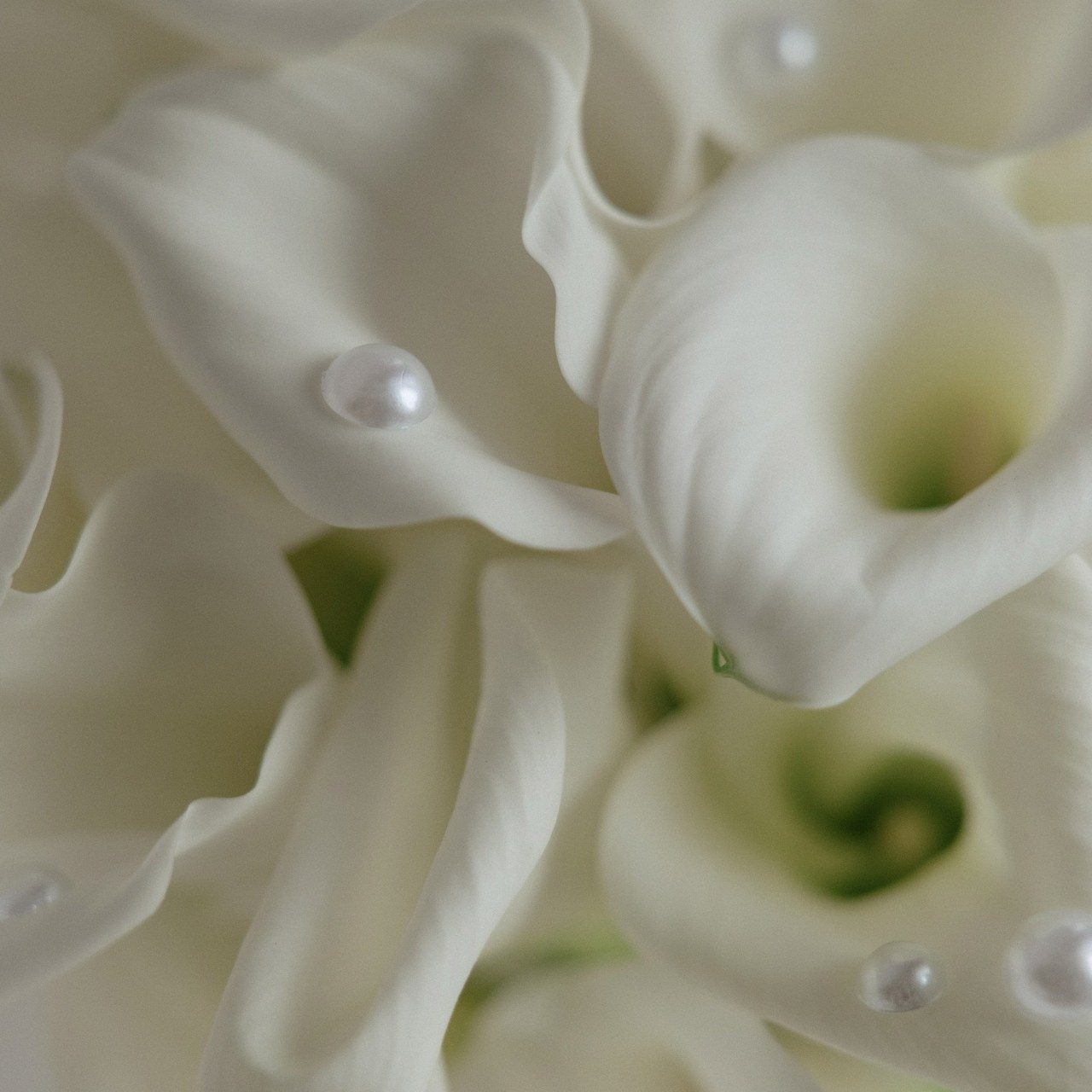 Отзывы о работе Александры Шико. Свадебный фотограф Москва