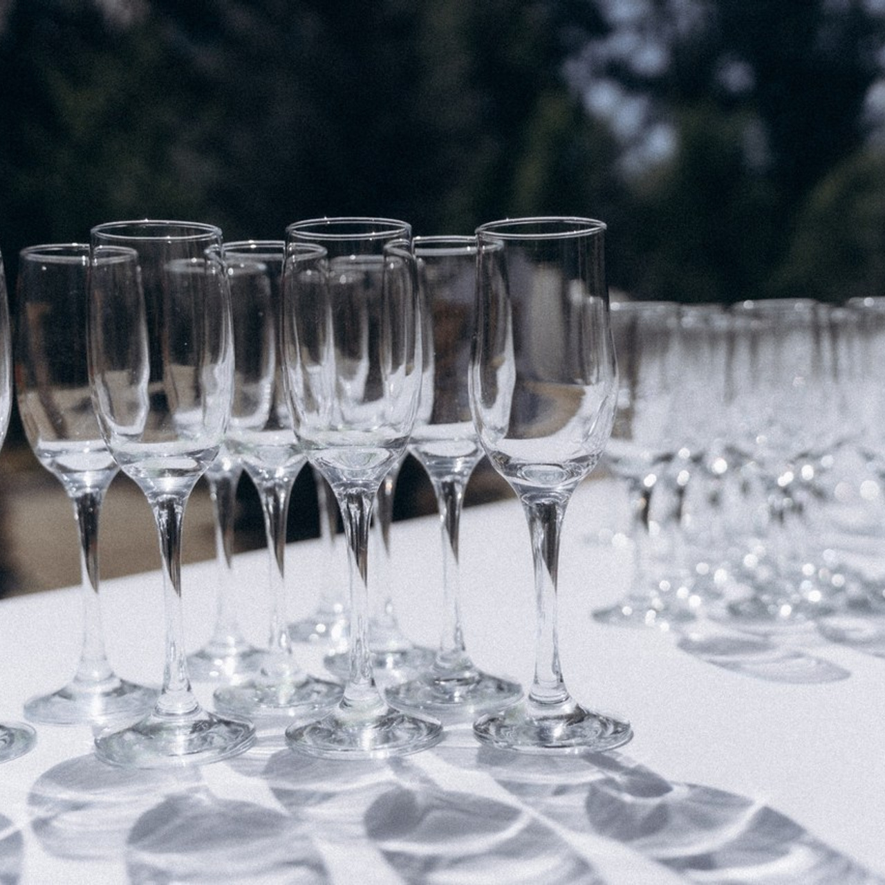 Отзывы. Фотограф в Нижнем Тагиле. Прогулочные и студийные съемки