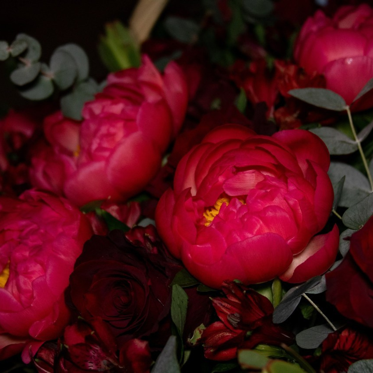 Отзывы. Фотограф в Санкт-Петербурге Ксения Яковчук