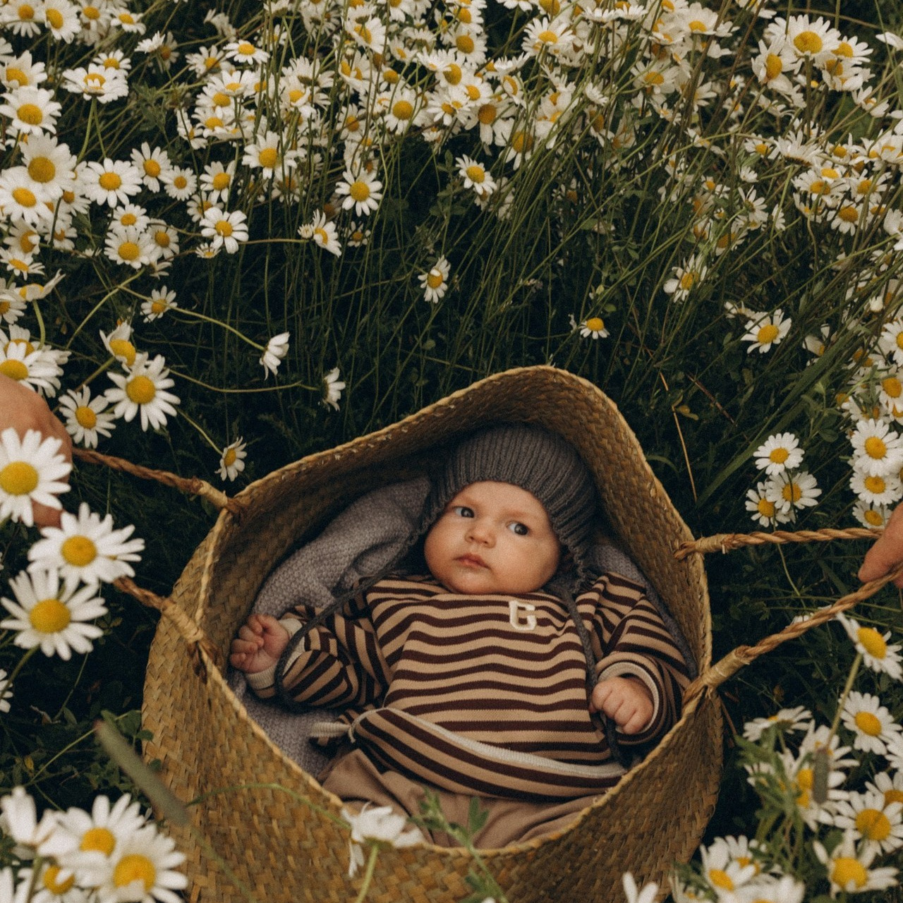 Отзывы. Www.kazakovaphoto.ru