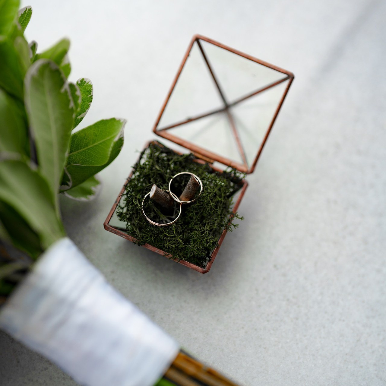 Отзывы. Фотограф Вячеслав Полушкин