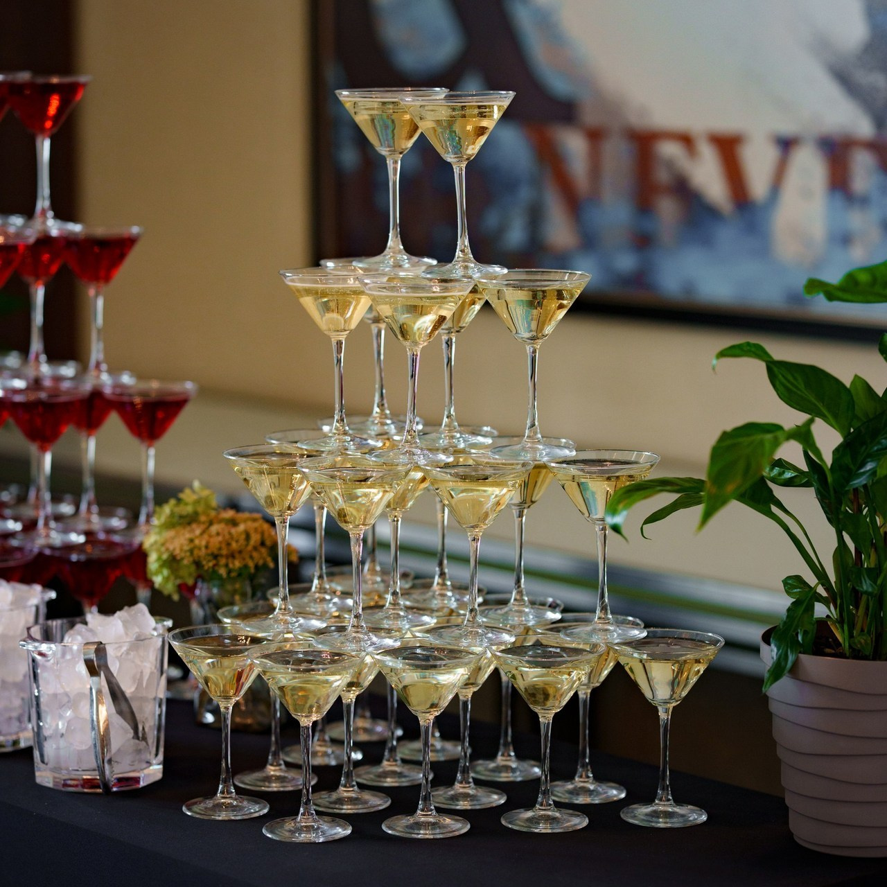 Отзывы. Фотограф Вячеслав Полушкин