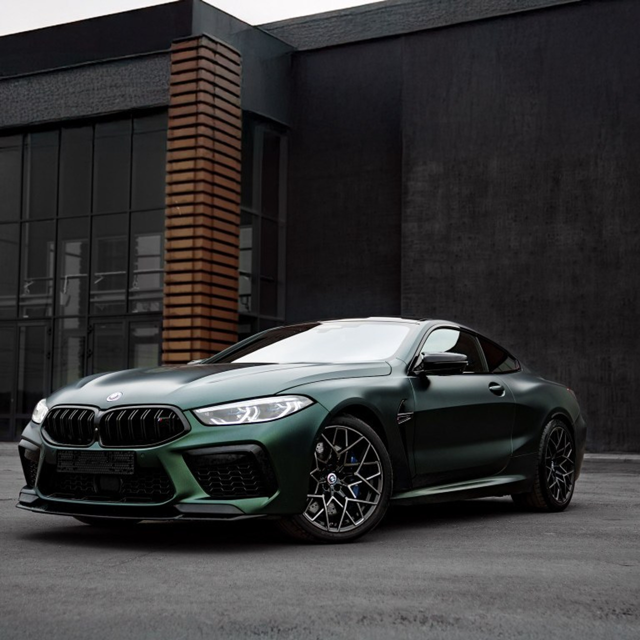 Отзывы. Фотограф Вячеслав Полушкин