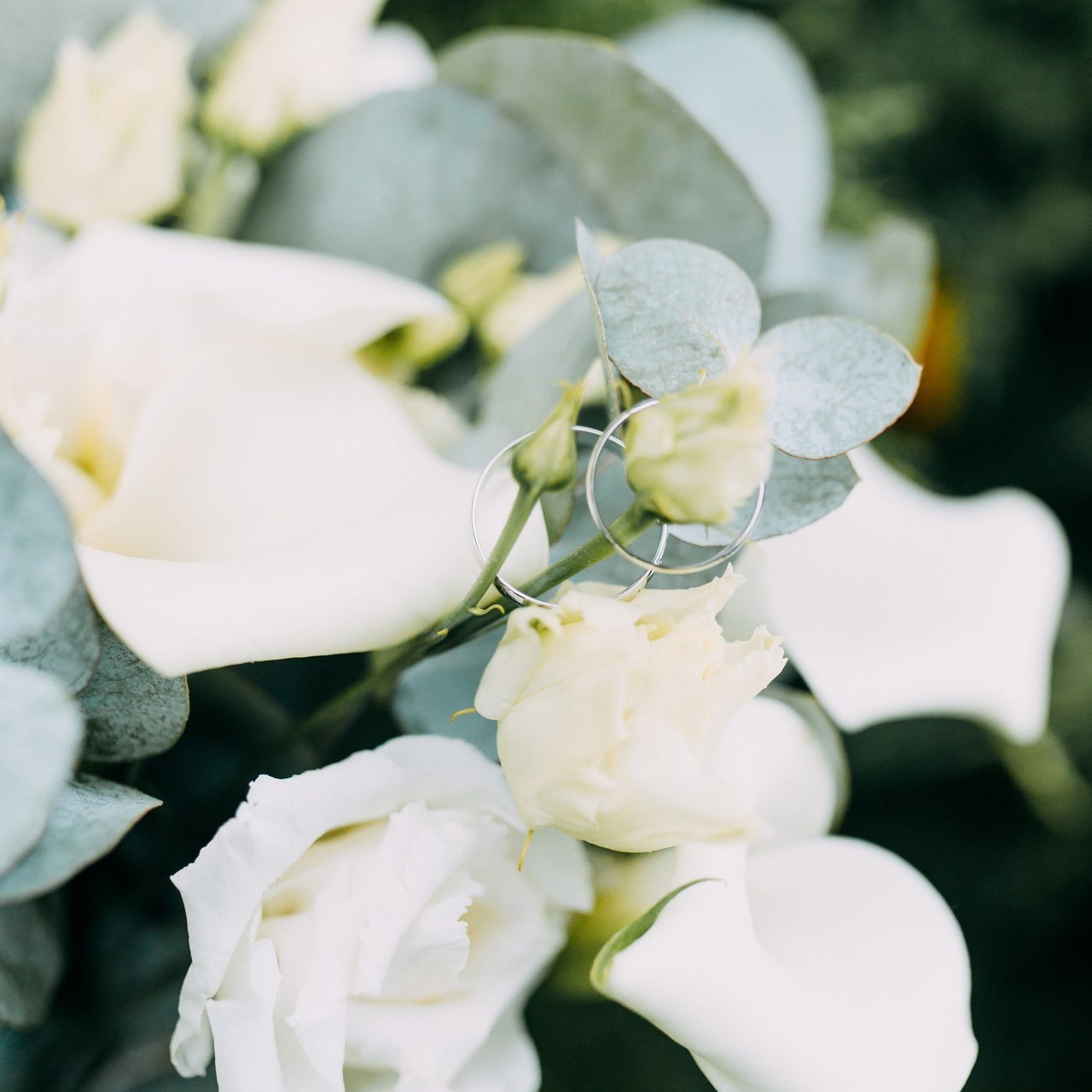 Семейный фотограф в Калининграде — отзывы. Фотограф в Калининграде Екатерина Осинцева