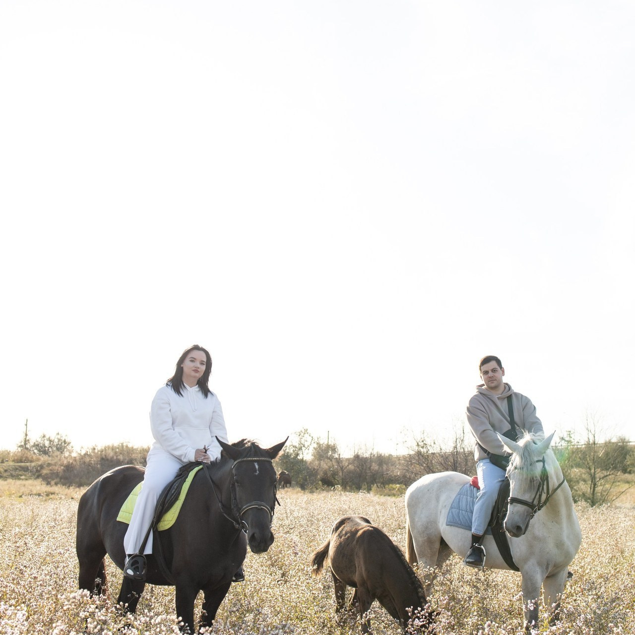 Отзывы. Дарья Даровская