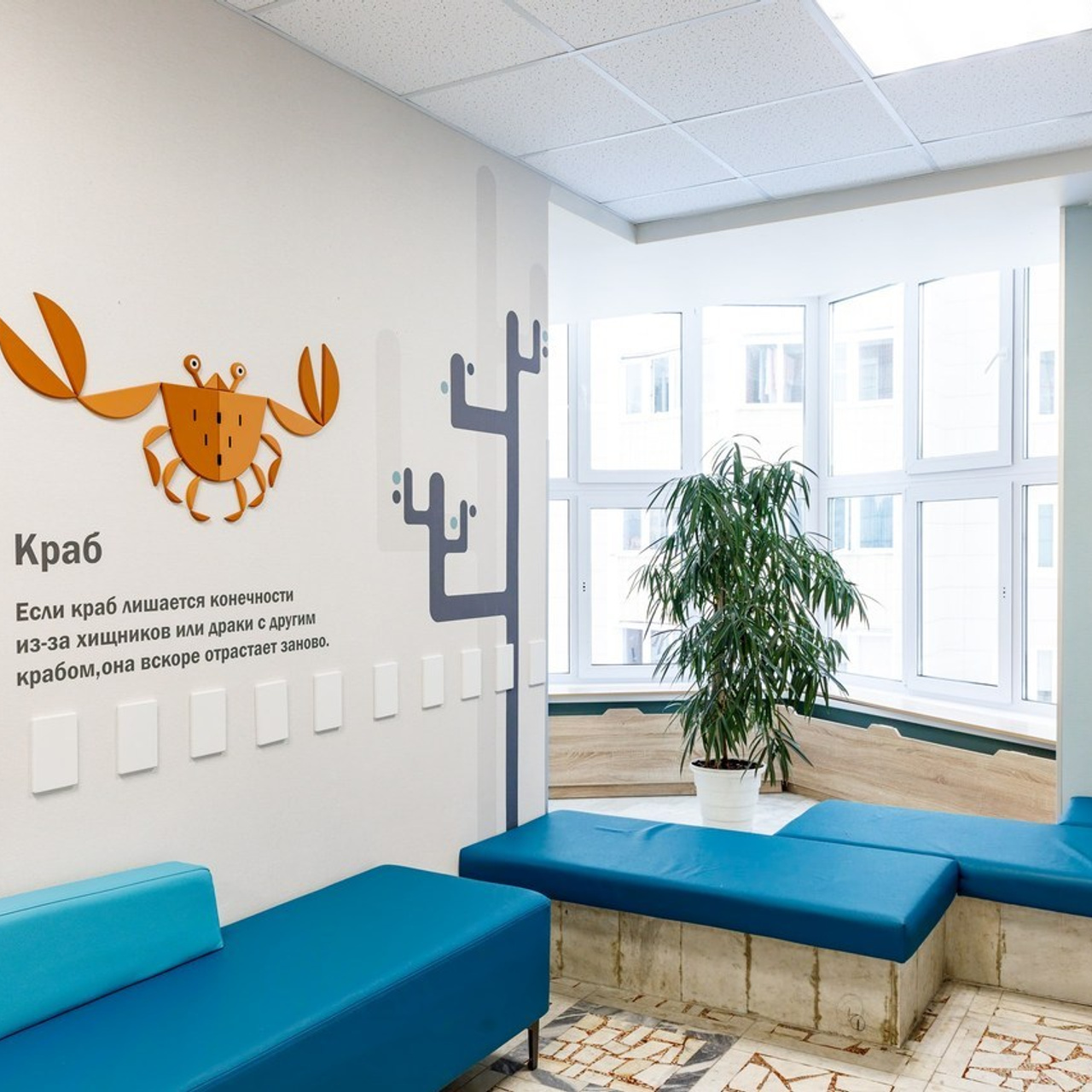 Отзывы. Photoduet «Contrast»