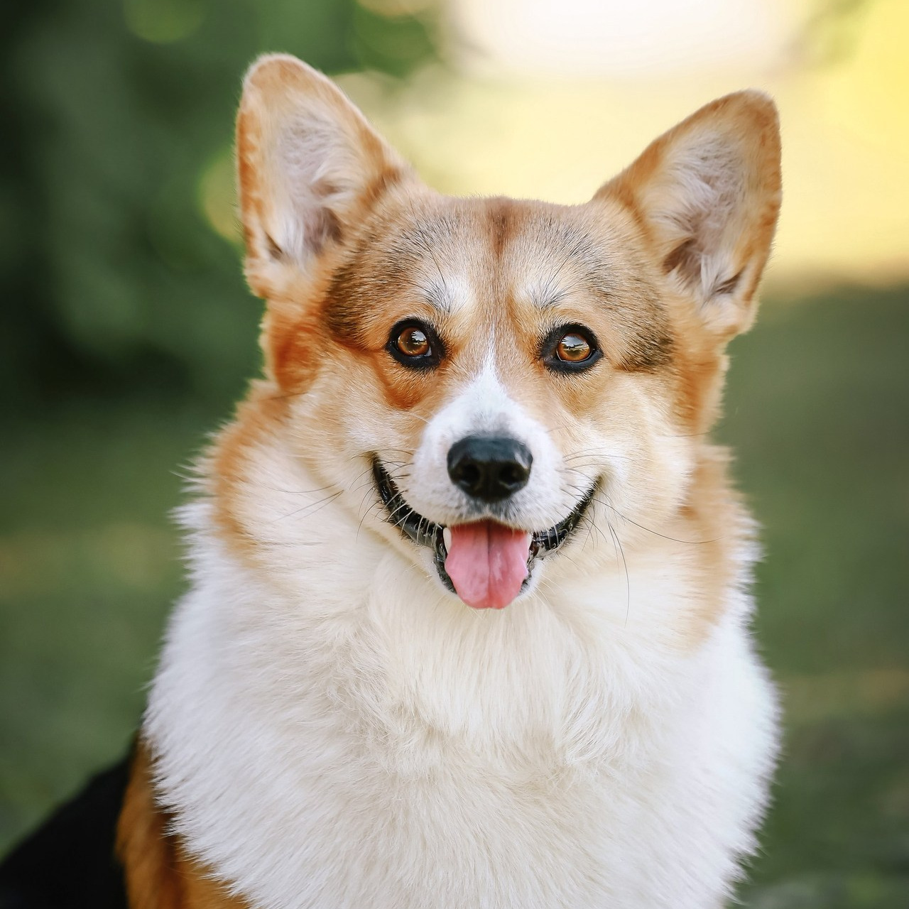 Фотограф Нелли Самойлова