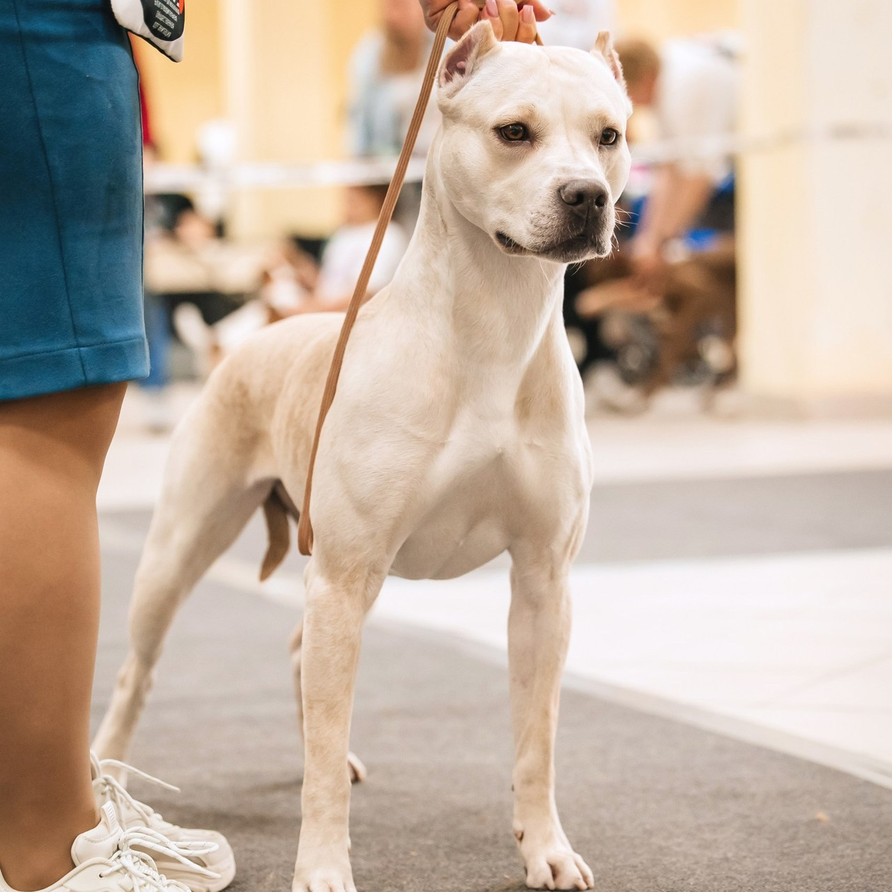 Фотограф Нелли Самойлова