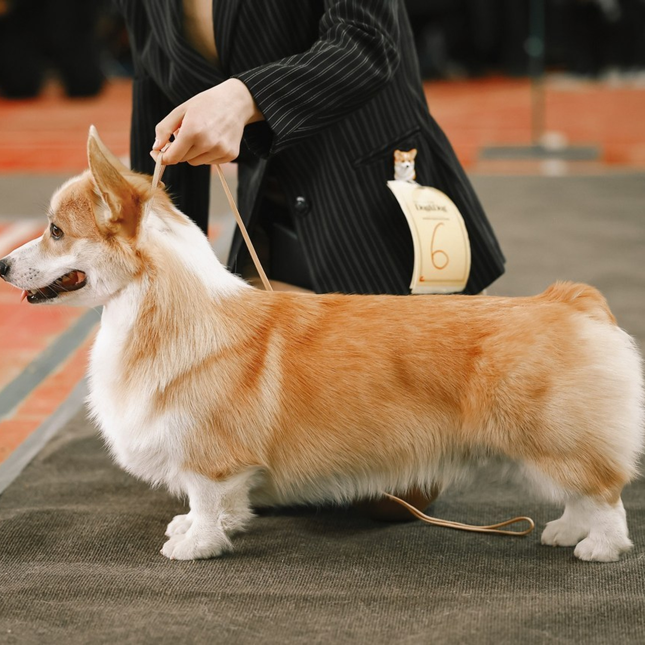 ОТЗЫВЫ. Фотограф Нелли Самойлова