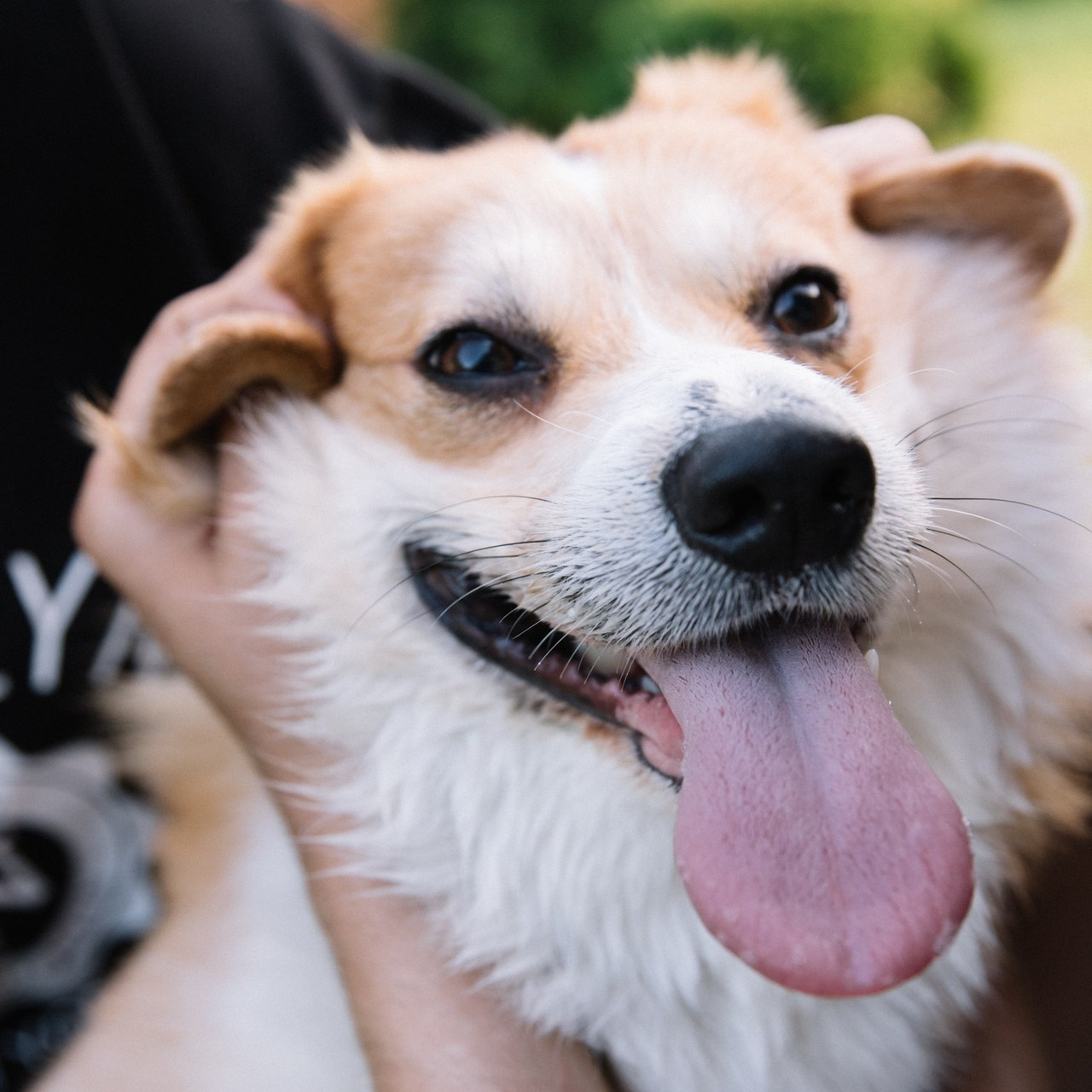 Отзывы. Семейный фотограф