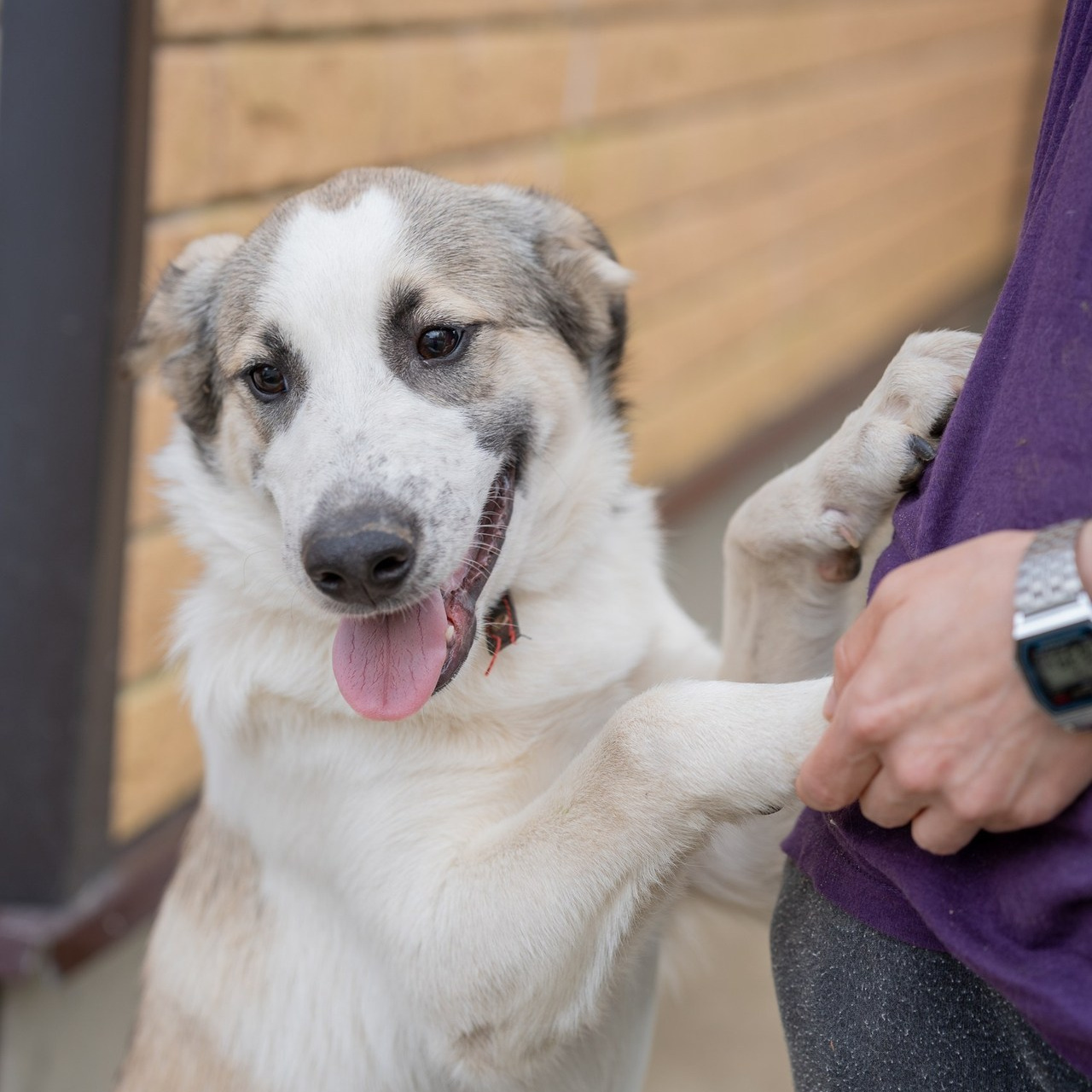 Отзывы о работе фотографа в Москве. Портретный фотограф Олеся Владимирова в Москве