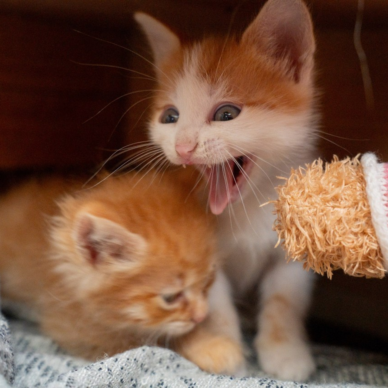 Отзывы о работе фотографа в Москве. Портретный фотограф Олеся Владимирова в Москве