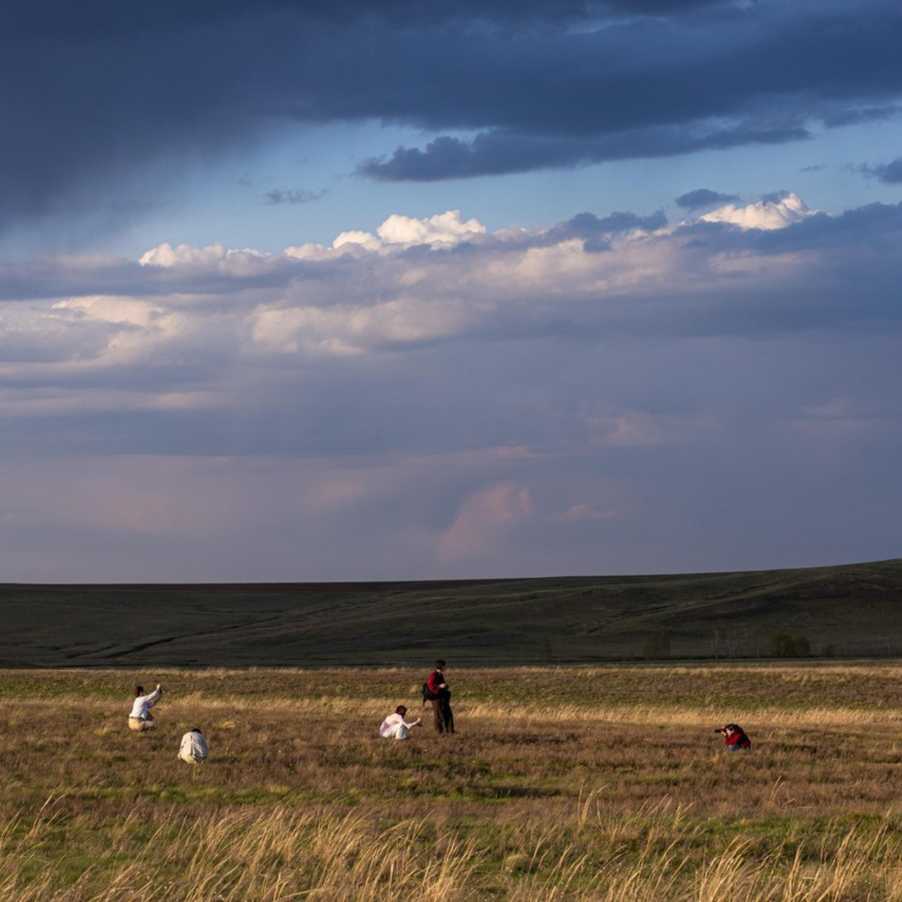 Отзывы. Семейный фотограф Полина Высоцкая в Оренбурге
