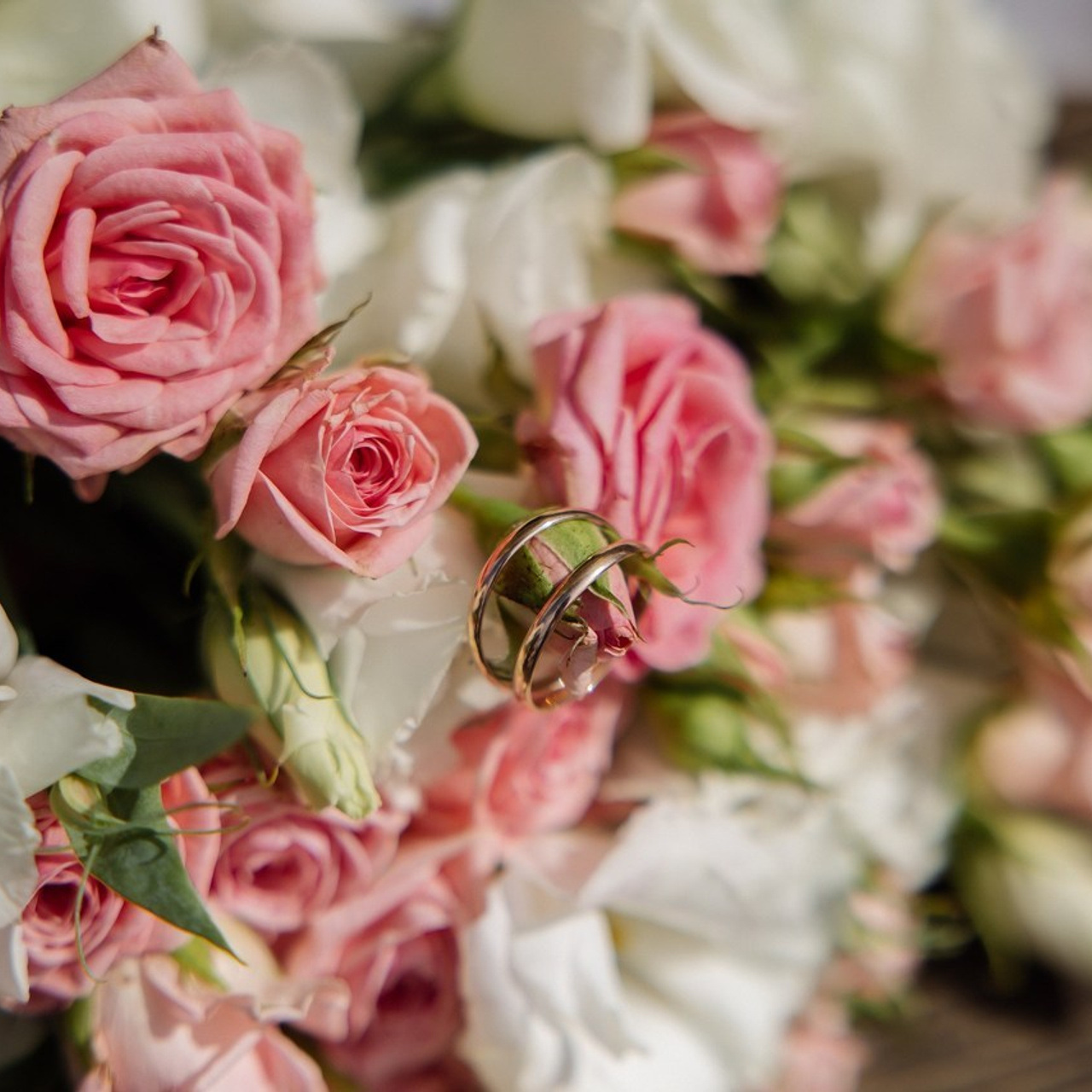 Отзывы о фотографе Марии Донцу. Семейный и свадебный фотограф в Самаре и Кинеле Мария Донцу