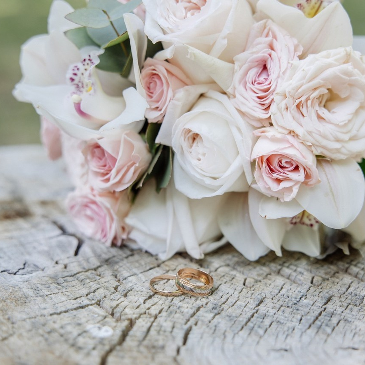 Отзывы о фотографе Марии Донцу. Семейный и свадебный фотограф в Самаре и Кинеле Мария Донцу