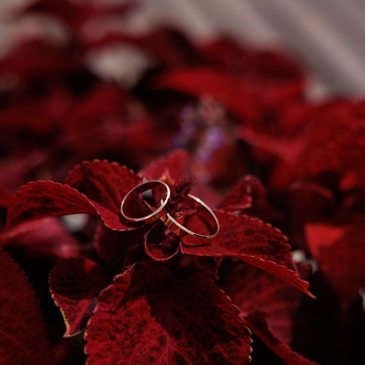 Отзывы о фотографе Марии Донцу. Семейный и свадебный фотограф в Самаре и Кинеле Мария Донцу