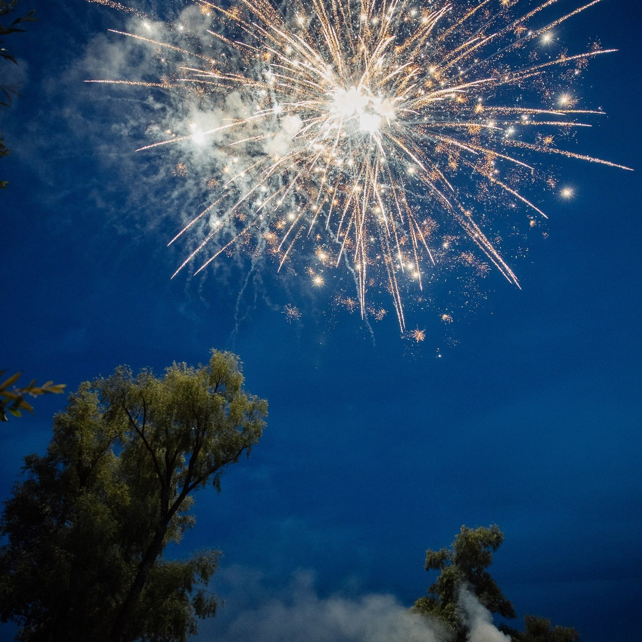 Отзывы о фотографе Марии Донцу. Семейный и свадебный фотограф в Самаре и Кинеле Мария Донцу