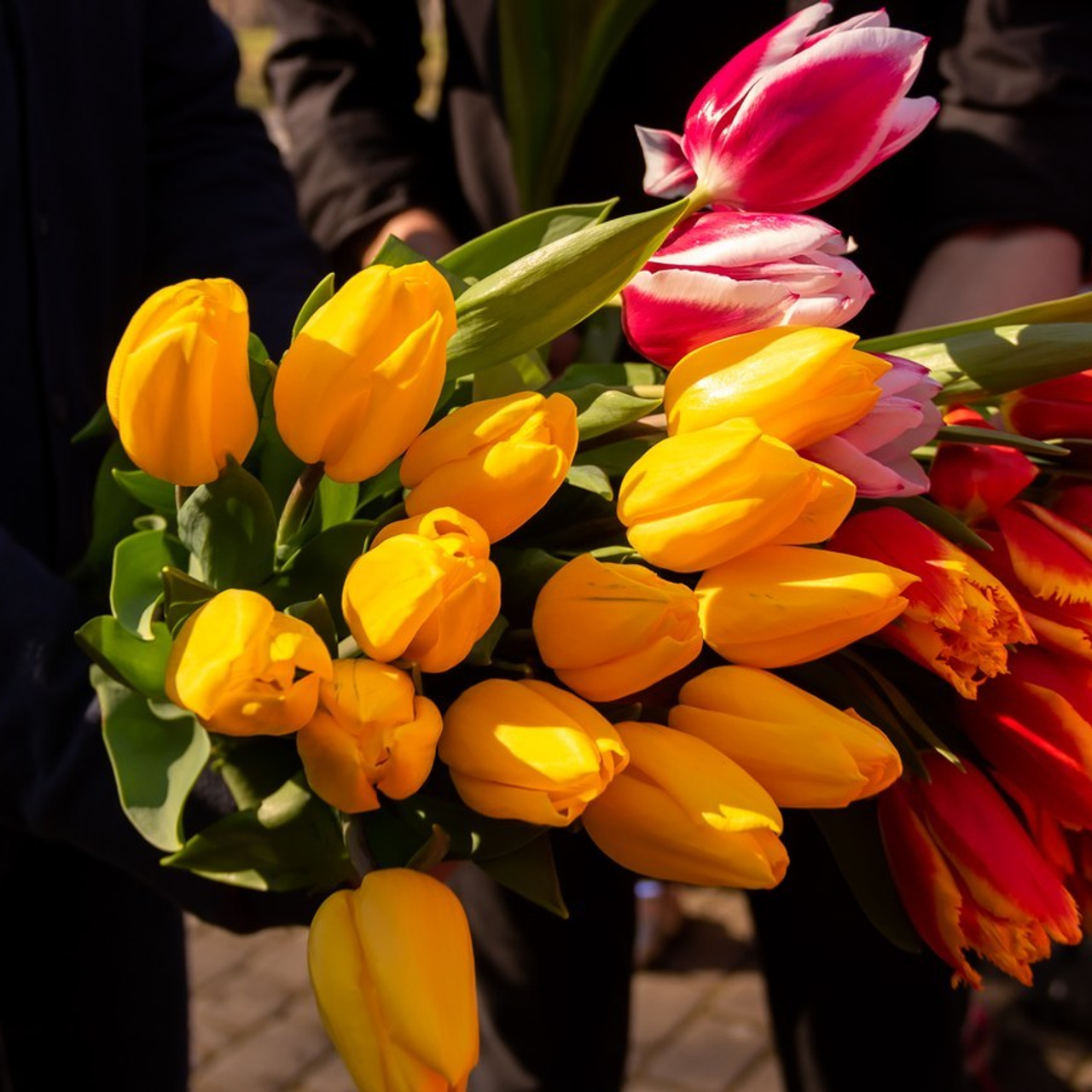 Отзывы. Фотограф из Краснодара Андрей Тукан