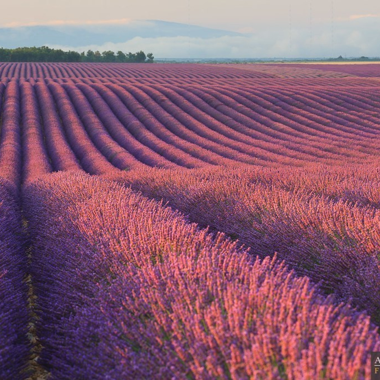 Отзывы. Фотограф для маркетплейсов Михаил Бове