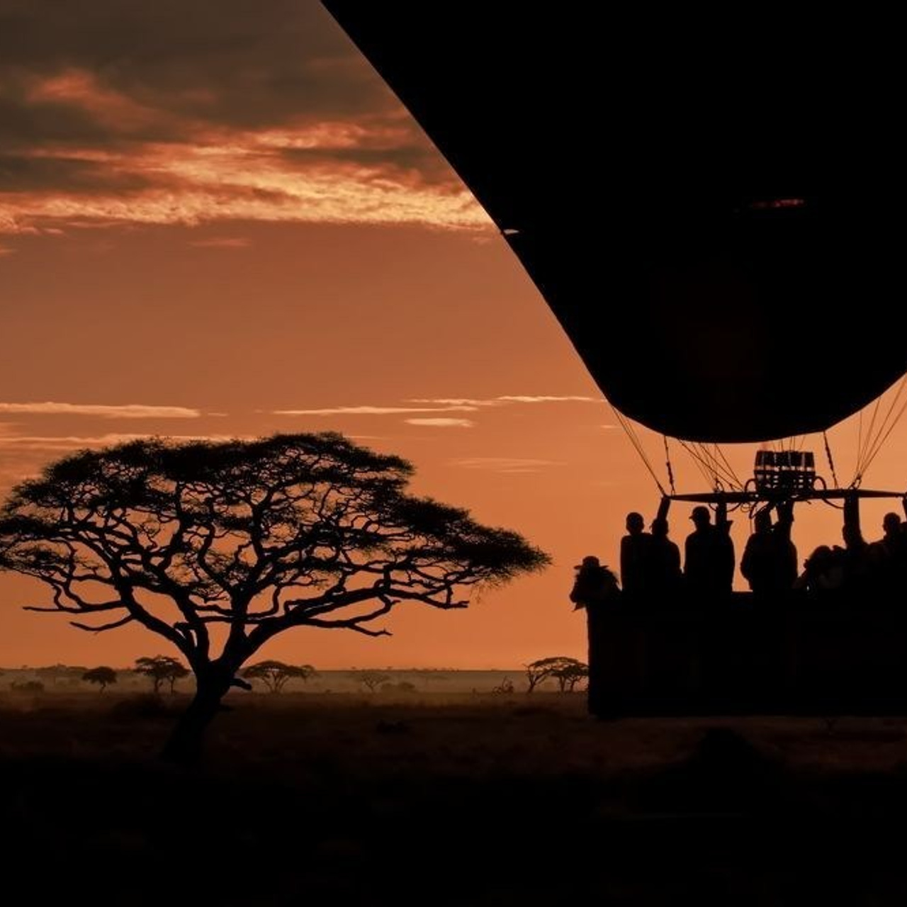 Отзывы. Фотограф для маркетплейсов Михаил Бове