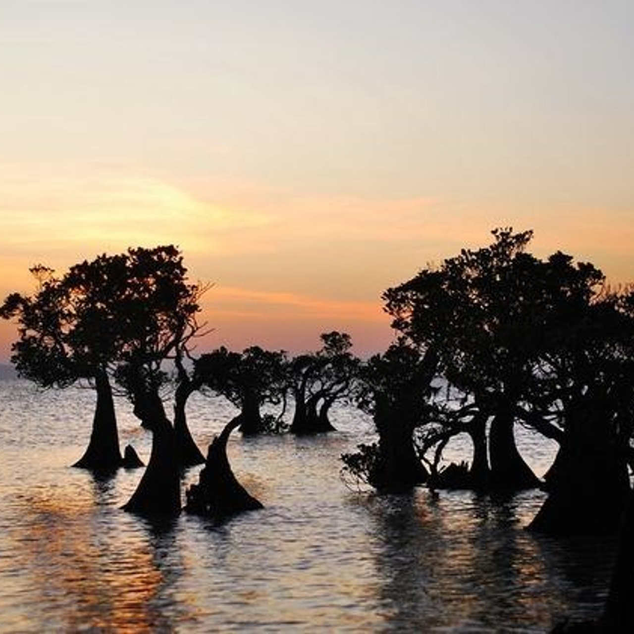 Отзывы. Фотограф для маркетплейсов Михаил Бове