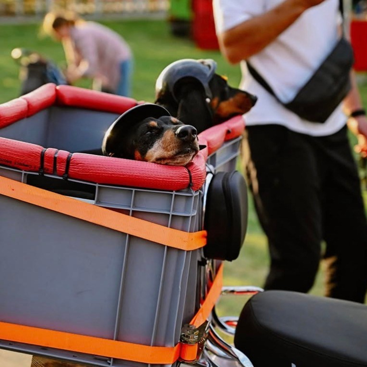 Мероприятия. Видео съемка, контент съемка, рекламная съемка