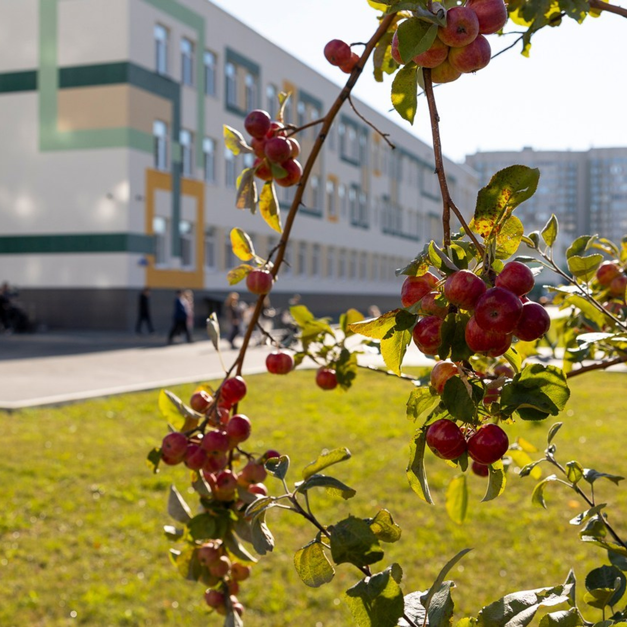 Отзывы. Классные выпускные альбомы — Сургут, Тюмень и ХМАО