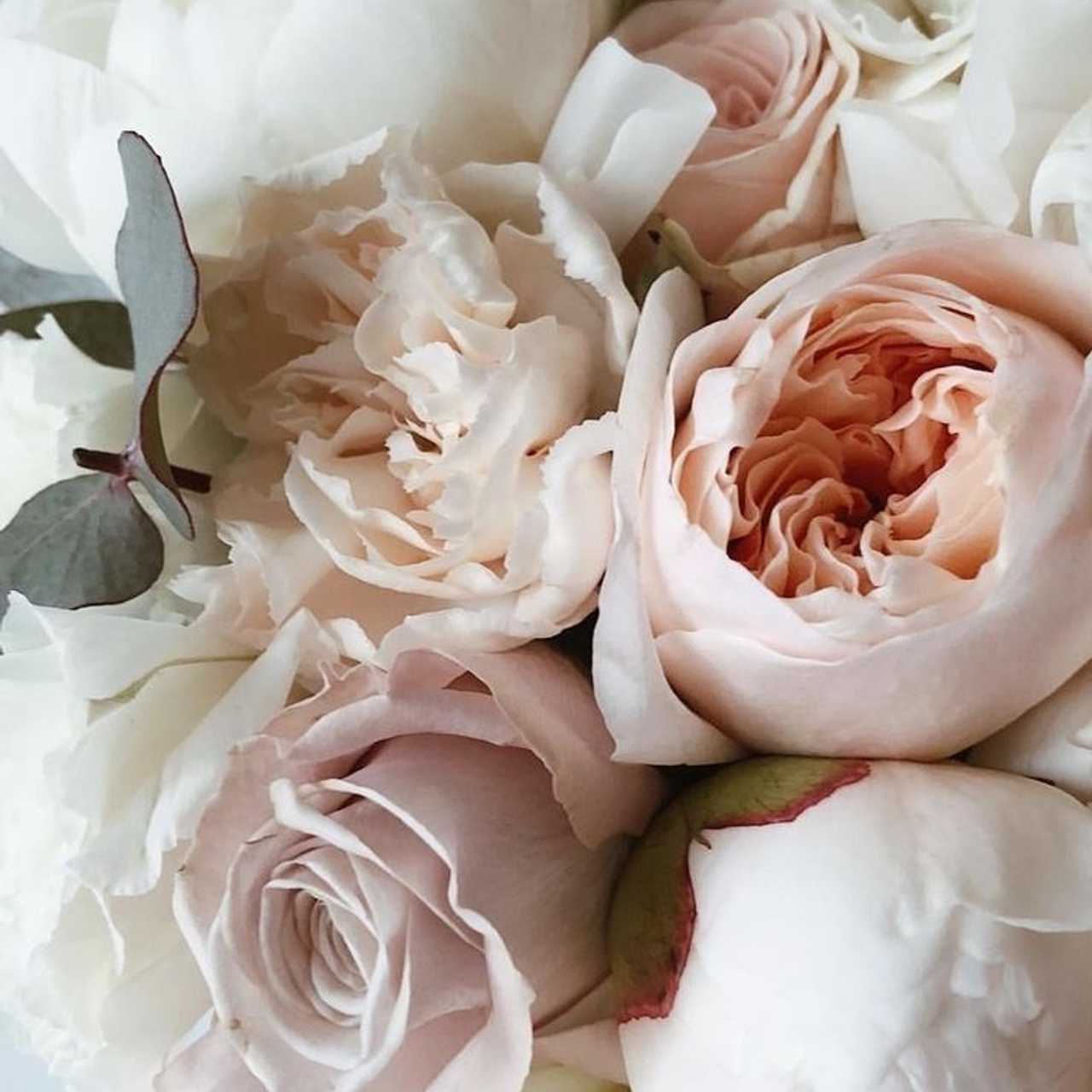 Отзывы. Классные выпускные альбомы — Сургут, Тюмень и ХМАО