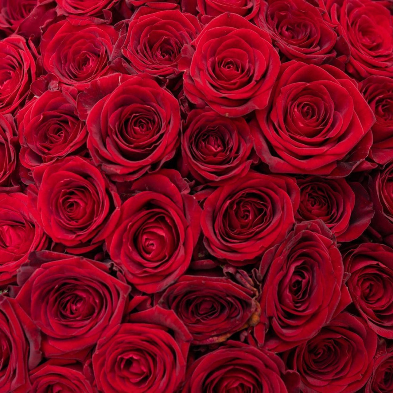 Отзывы. Фотосъемка выписки из роддома в Москве, заказать фотографа на выписку ньюборн съемка в роддоме newborn фотограф в Юдино