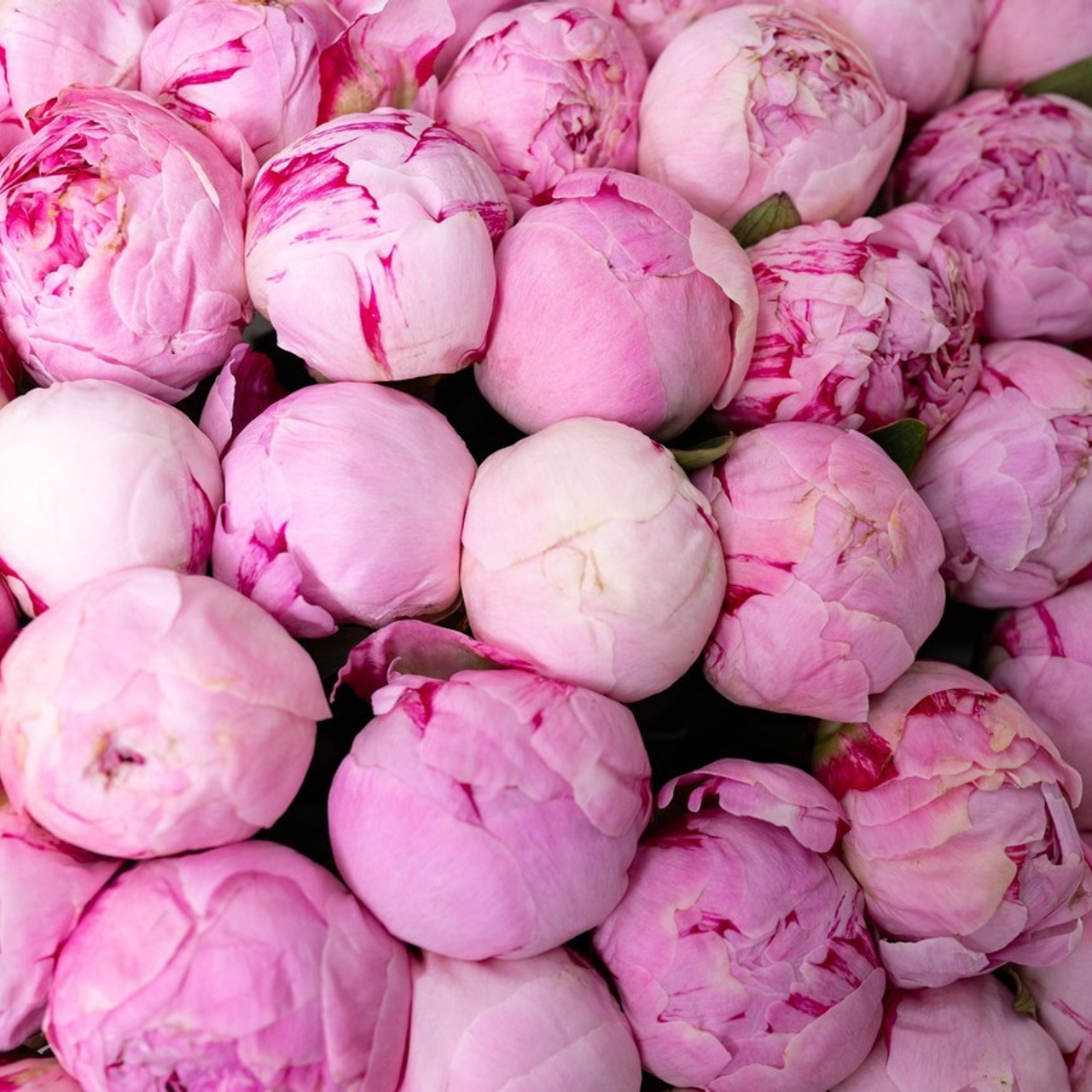 Отзывы. Фотосъемка выписки из роддома в Москве, заказать фотографа на выписку ньюборн съемка в роддоме newborn фотограф в Юдино