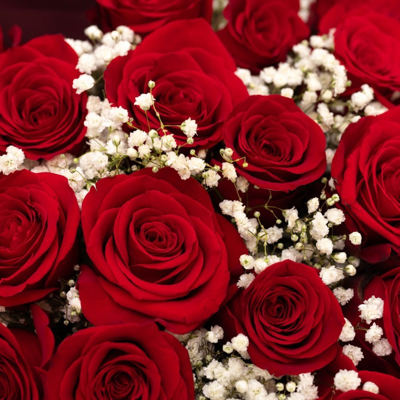 Отзывы. Фотосъемка выписки из роддома в Москве, заказать фотографа на выписку