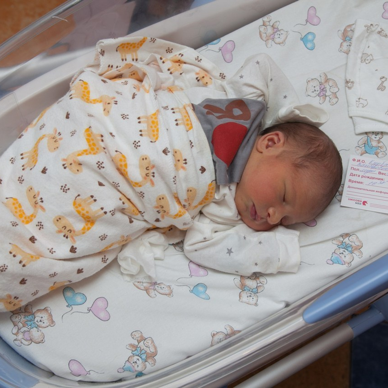 Отзывы. Фотосъемка выписки из роддома в Москве, заказать фотографа на выписку