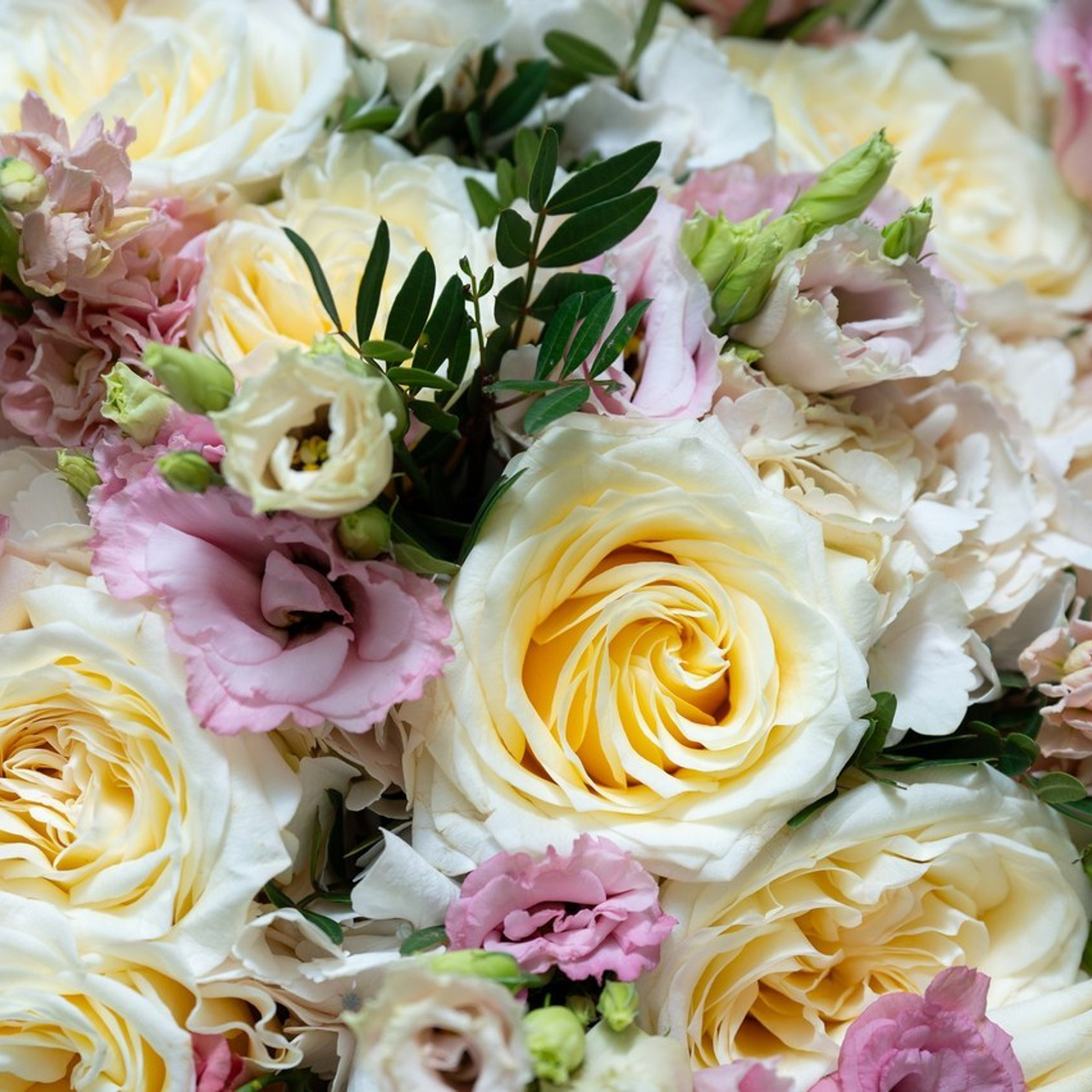 Отзывы. Фотосъемка выписки из роддома в Москве, заказать фотографа на выписку ньюборн съемка в роддоме newborn фотограф в Юдино