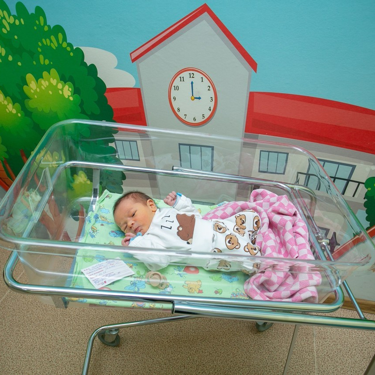 Отзывы. Фотосъемка выписки из роддома в Москве, заказать фотографа на выписку