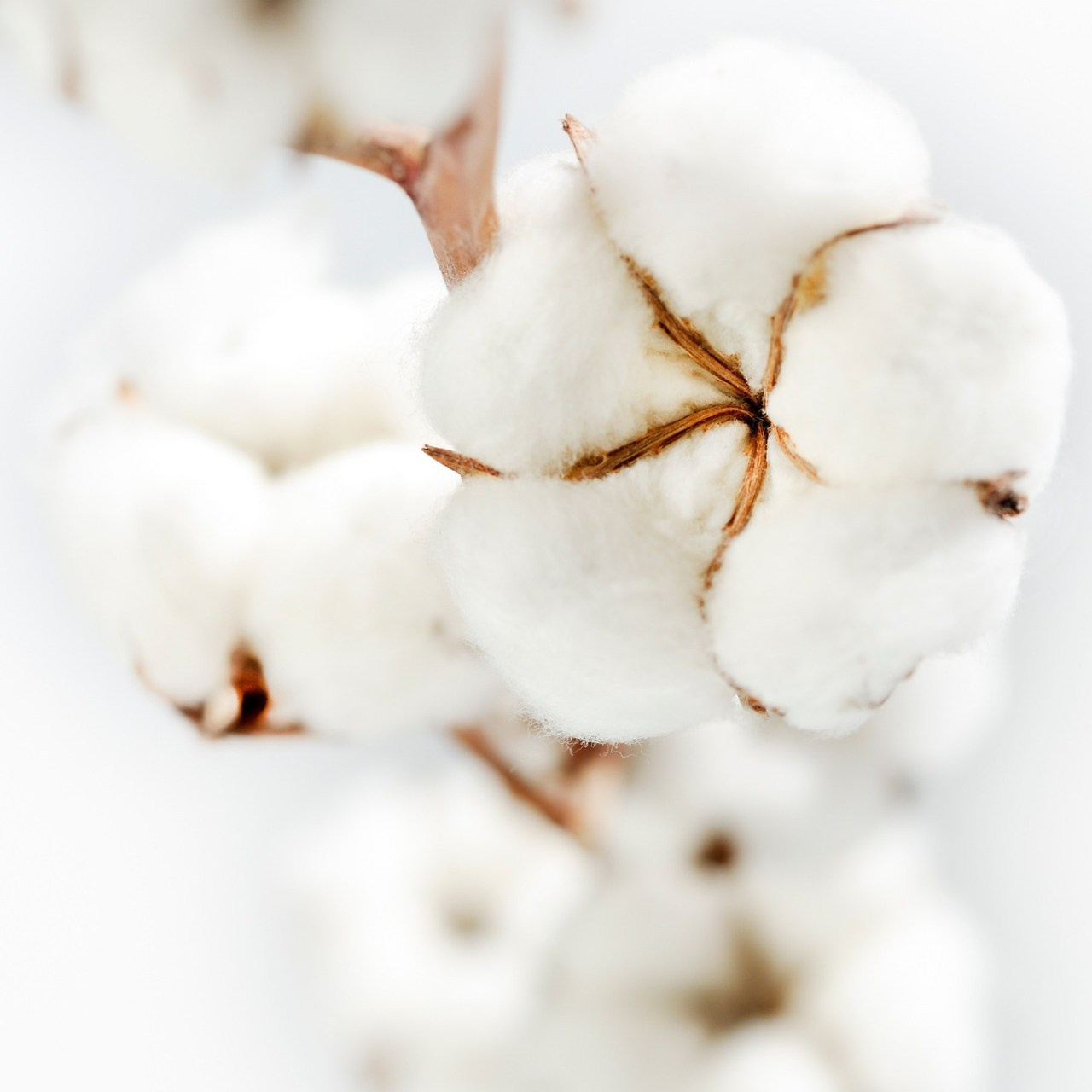 Отзывы. Выпускные альбомы Санкт-Петербург