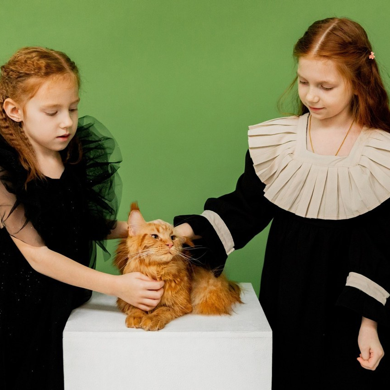 Отзывы. Семейный и детский фотограф в Москве