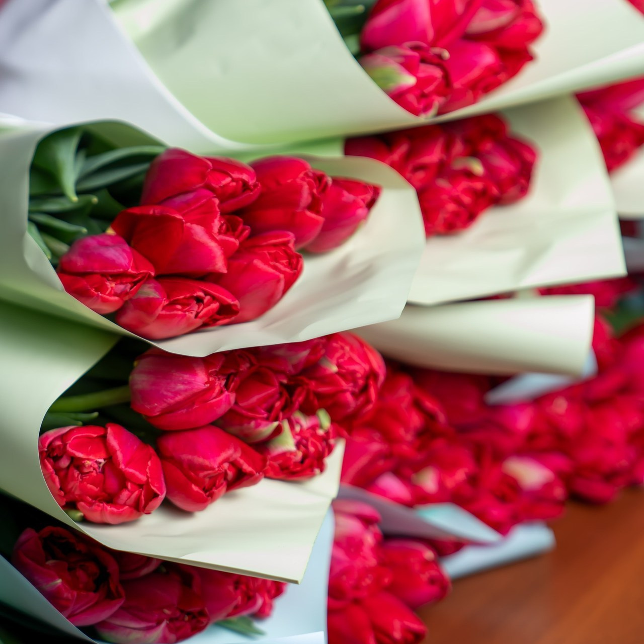 Отзывы. Фотограф Евгения Надрага г. Новый Уренгой