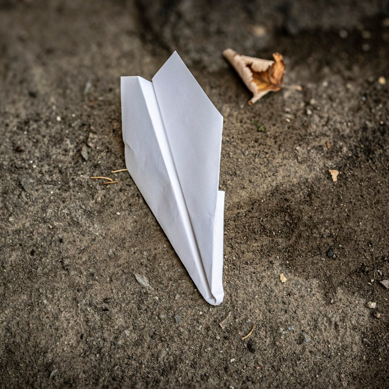 Отзывы. Фотограф в Донецке. Детские и семейные фотосессии 🫶