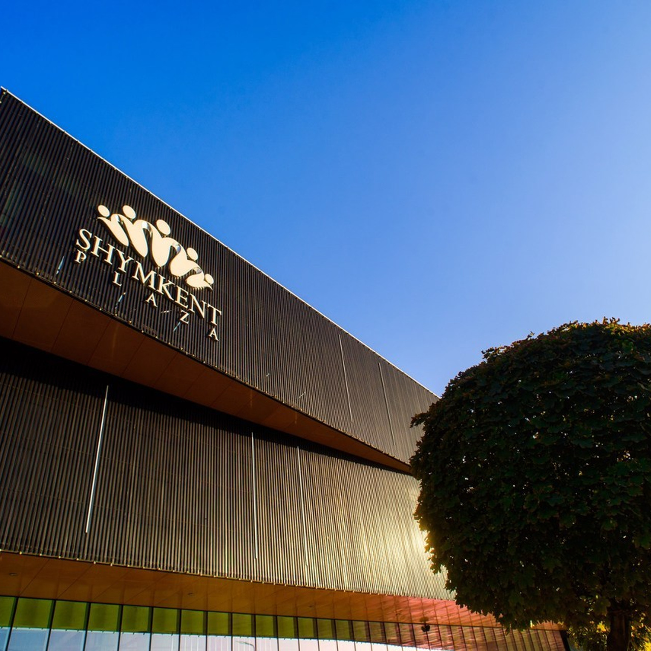 Отзывы. Михаил Клёшев — Профессиональный фотограф в Шымкенте и области