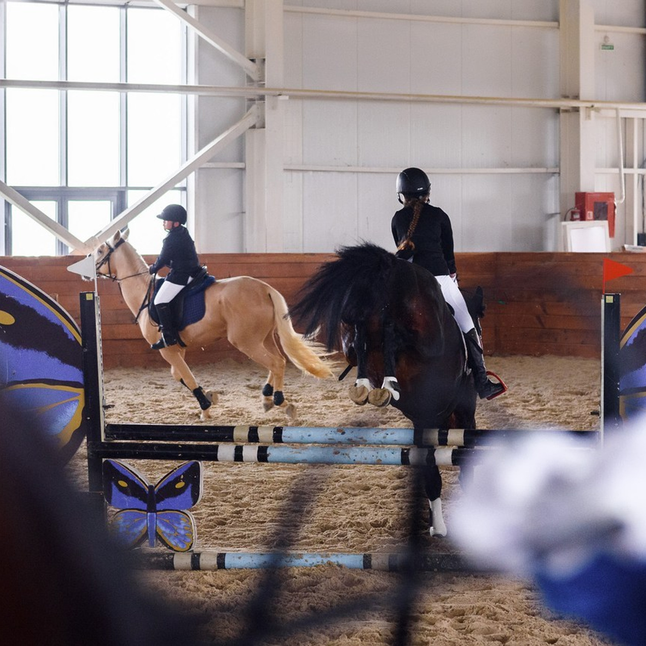 Отзывы от клиентов фотографа Михаила Клёшева. Михаил Клёшев — Профессиональный фотограф в Шымкенте и области