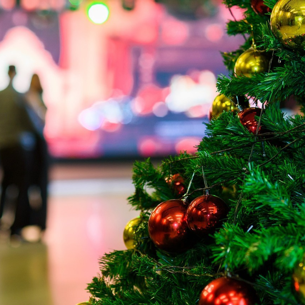 Отзывы. Михаил Клёшев — Профессиональный фотограф в Шымкенте и области