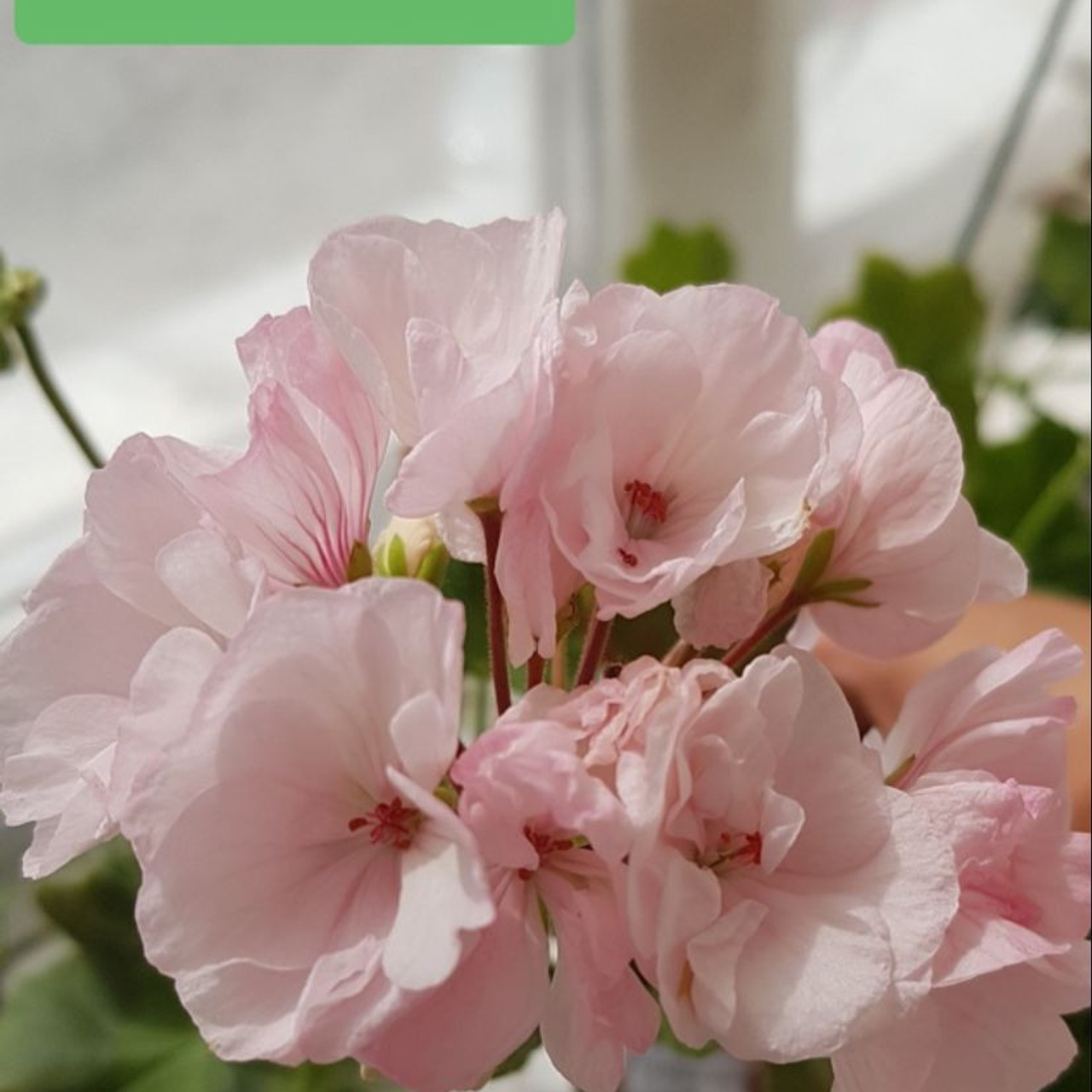 Отзывы о работе коуча. Психолог и коуч Ирина Биктимерова