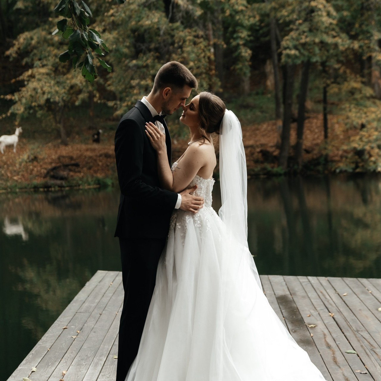 Отзывы. Свадебный фотограф Ильнар Асадуллин