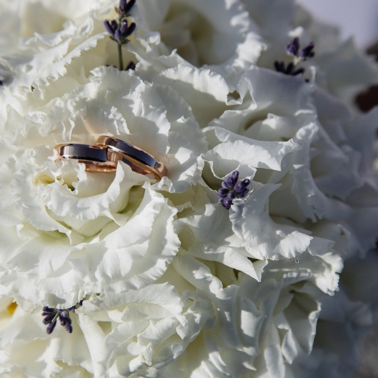 Отзывы. Свадебный и семейный фотограф Темрюк Алёна Ковальская