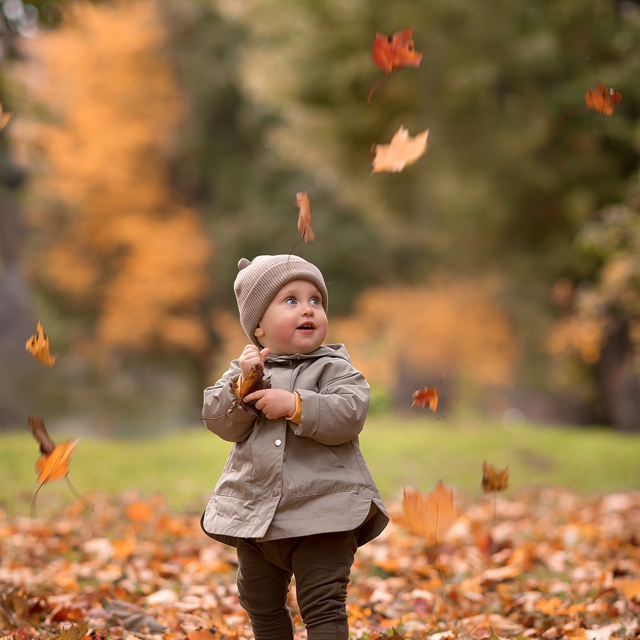 Осень. Выборг