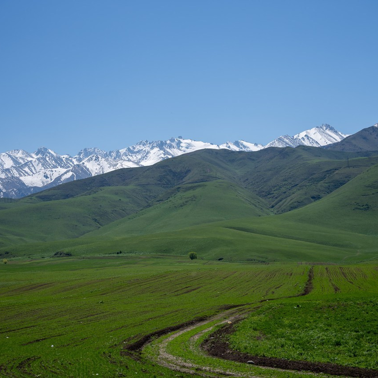 Отзывы. Фотограф Светлана Белоусова